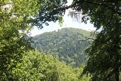 piwniczna atrakcje dla dzieci|Prawdziwie górski park Węgielnik